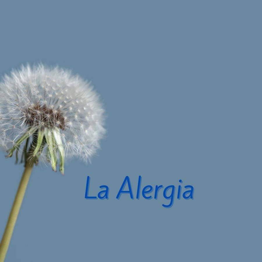 Alergia Farmacia Ontinyent